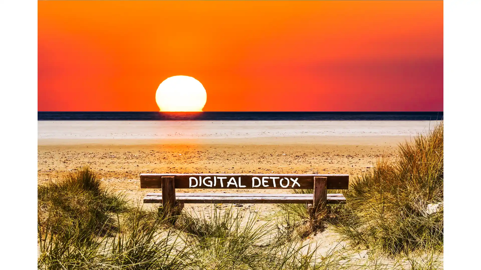 GK Palms Resort Thinking of a digital detox vacation?
