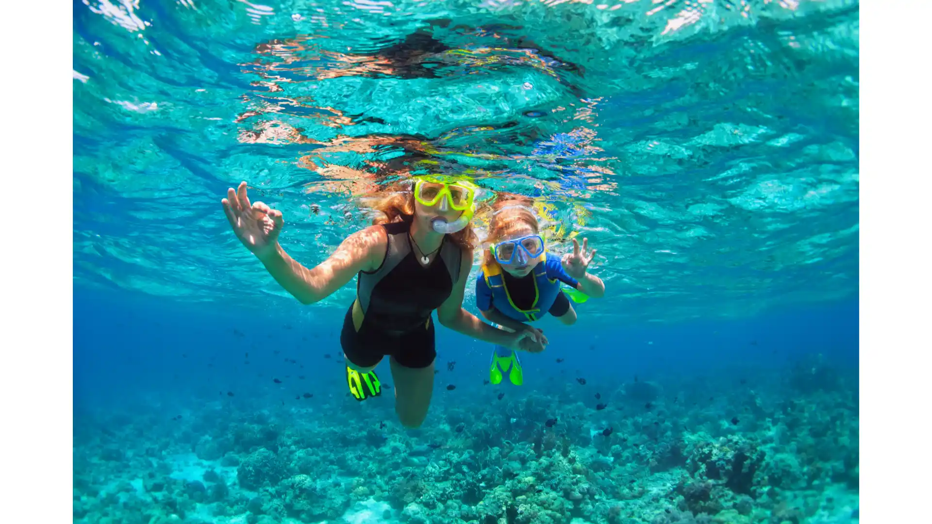 GK Palms Resort Explore the Indian Ocean-underwater world through snorkeling and diving